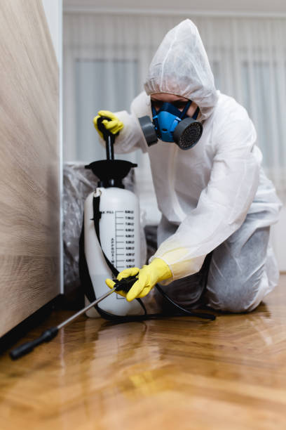 Best Bed Bug Extermination  in Frankfort, IL